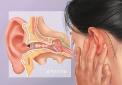 仁品科普 | 耳鸣是身体的“报警器”，出现这些症状要注意啦